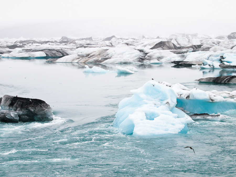 Iceland: Icebergs, 2009